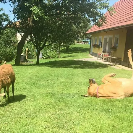 דירה Family-farm-koppin-gady